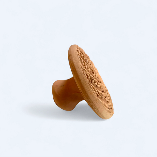 Moroccan Exfoliating Pumice Stone